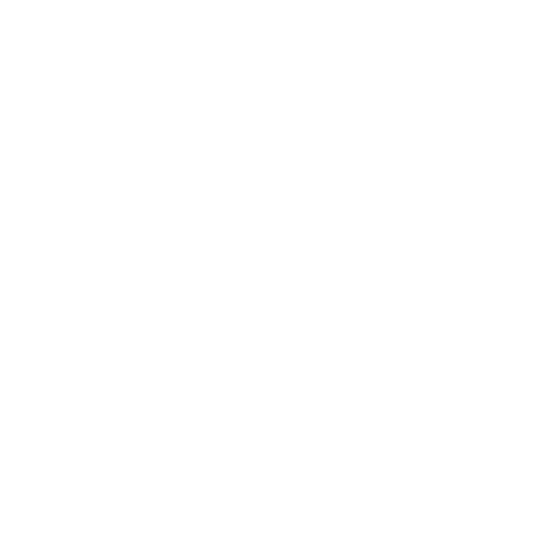 Eccho Cup