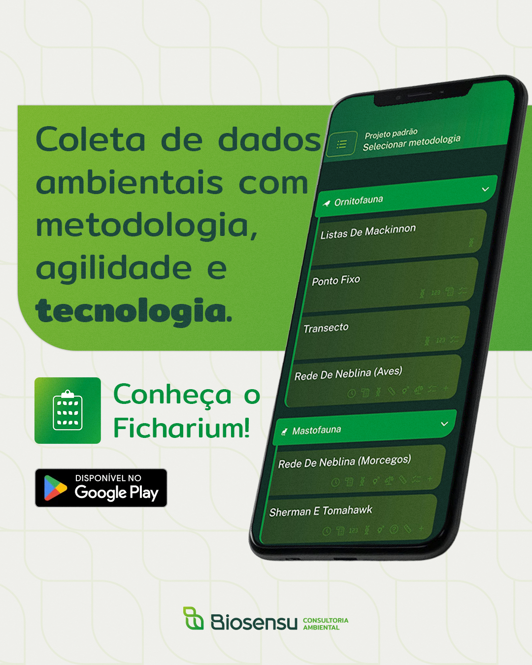 Portfolio BAM